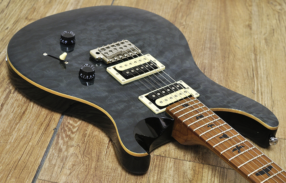 Paul Reed Smith SE Custom 24_トップ