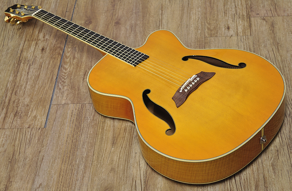 Takamine DSP022AF_トップ