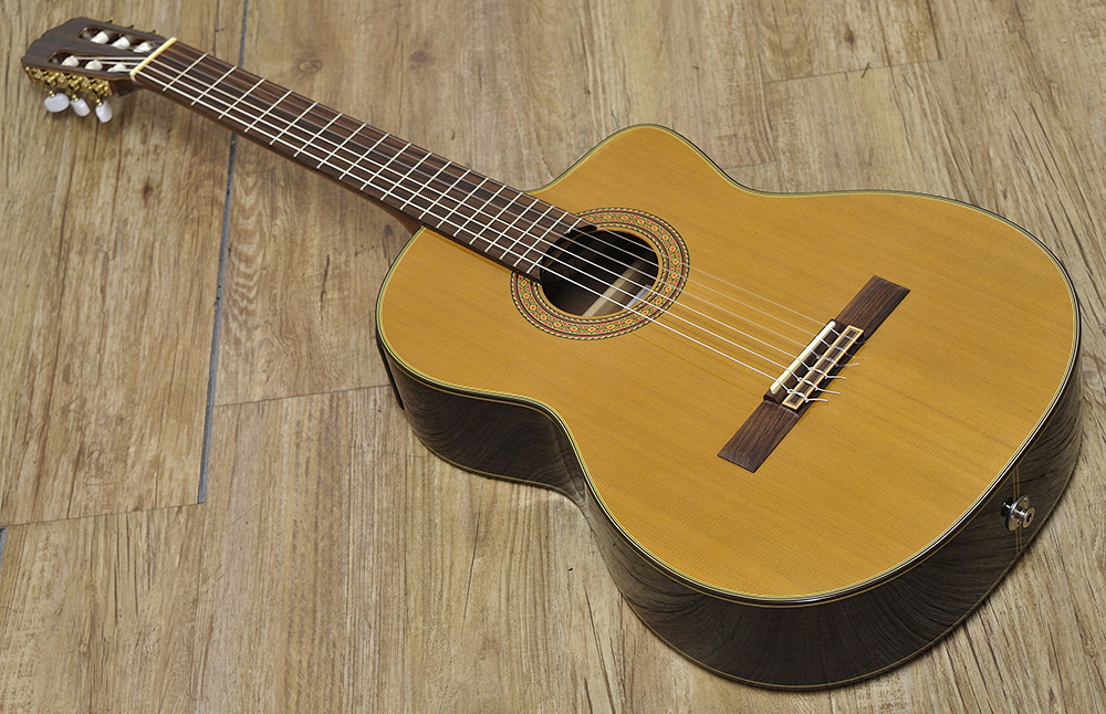 Takamine DSP312_トップ