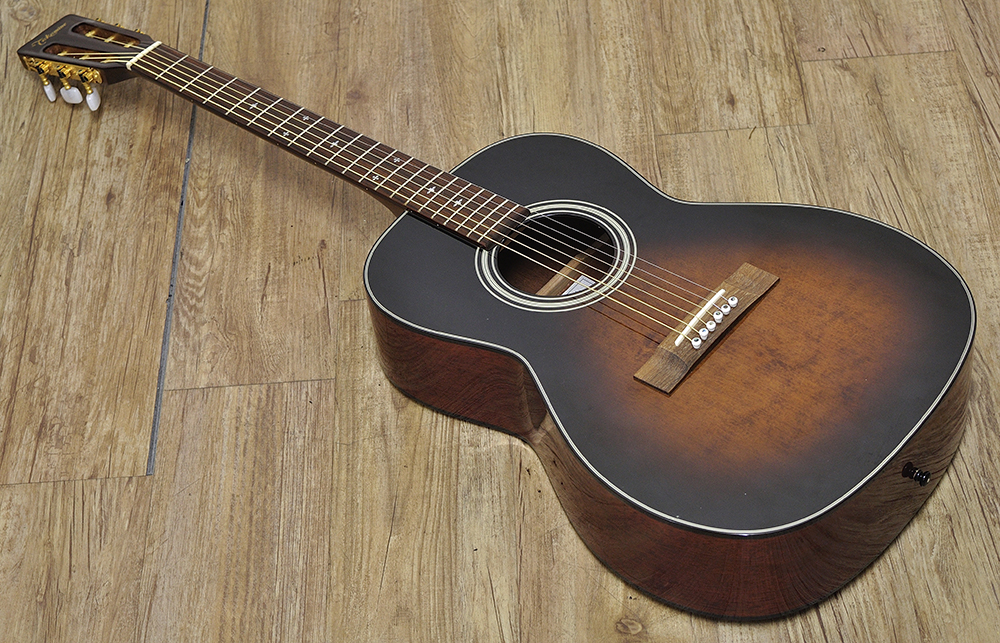 Takamine TSN-500_トップ