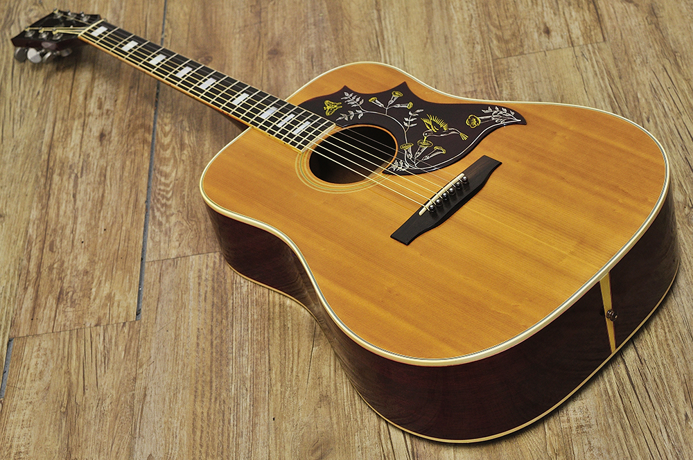 Gibson humming bird custom (2)