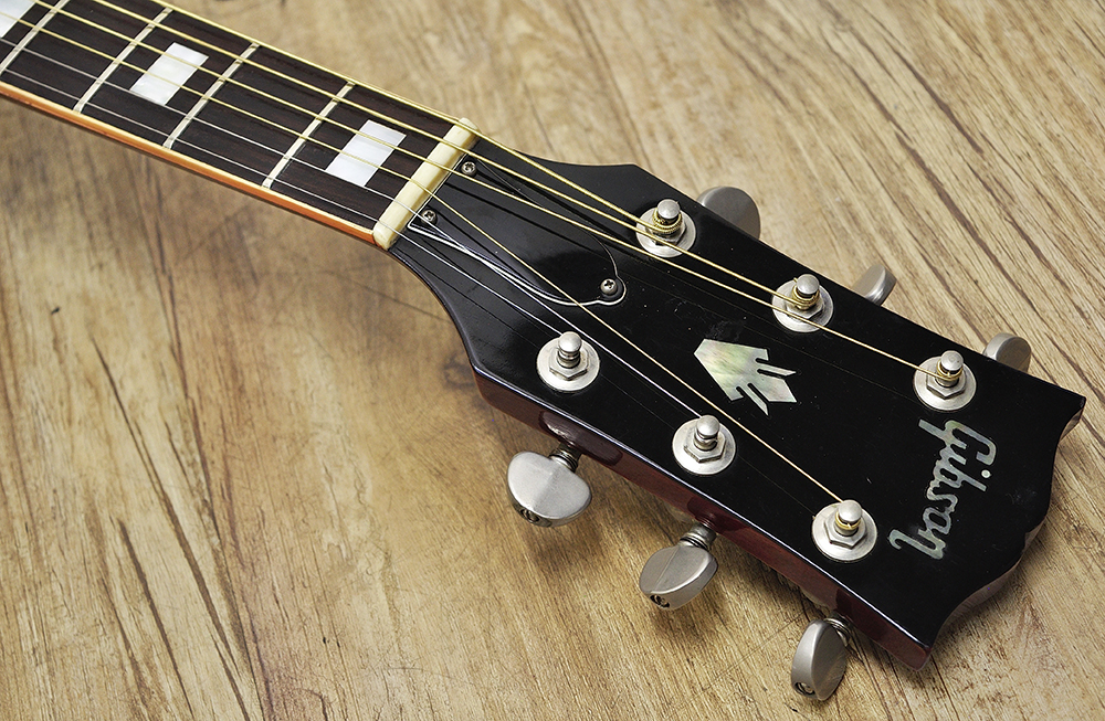 Gibson humming bird custom (4)