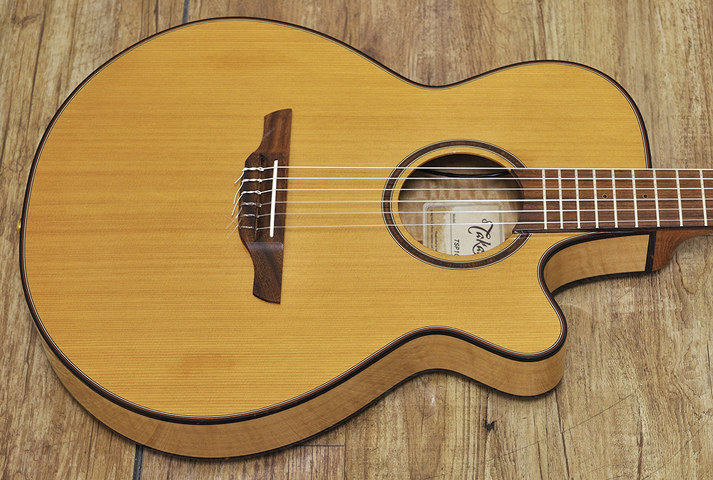 Takamine TSP10SN (4)