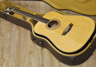 Washburn WD10