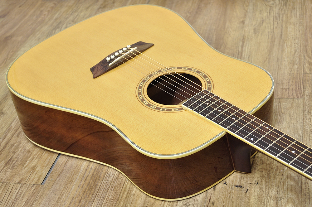 Washburn WD10 - ギター・楽器買取のサウンド・プラグ