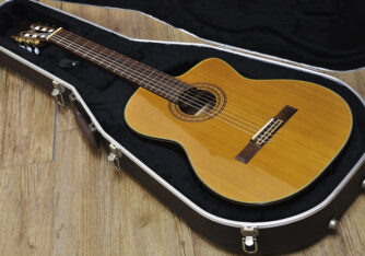 Takamine DSP312