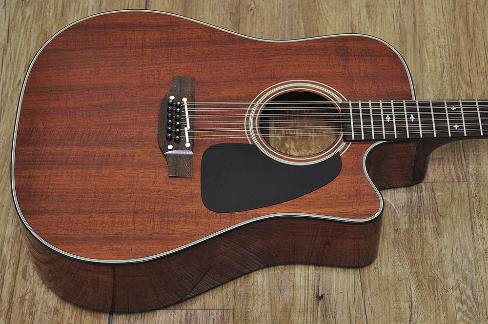 Takamine アコースティックギター NPT-11（Takamine NPT-212-12 