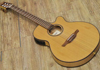 Takamine TSP10SN (2)