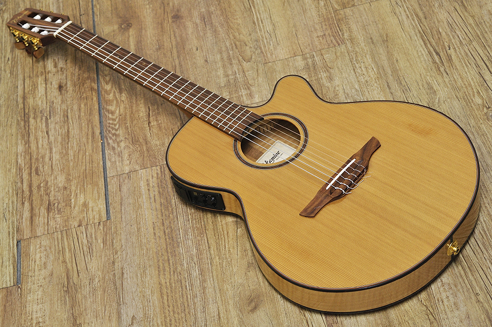 Takamine-TSP10SN-2.jpg
