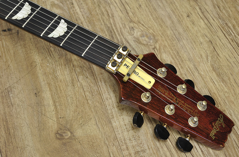 Aria ProⅡ PE-R80 (2)