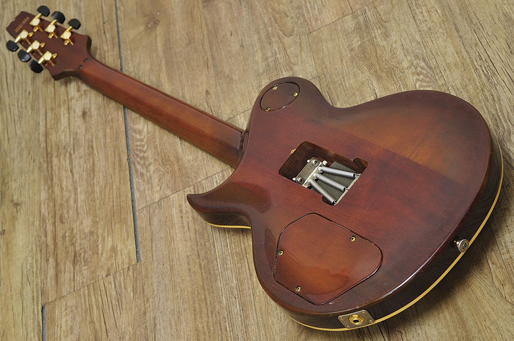 Aria ProⅡ PE-R80 (4)