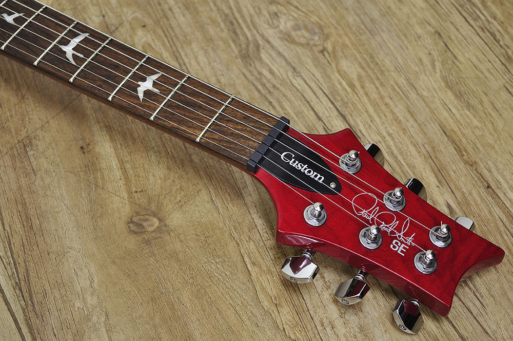 PRS SE Custom24 (2)