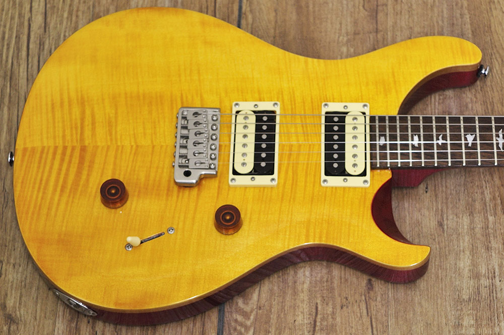 PRS SE Custom24 (3)