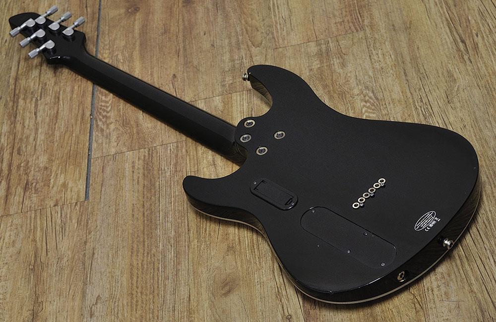 YAMAHA RGX A2 バック全体