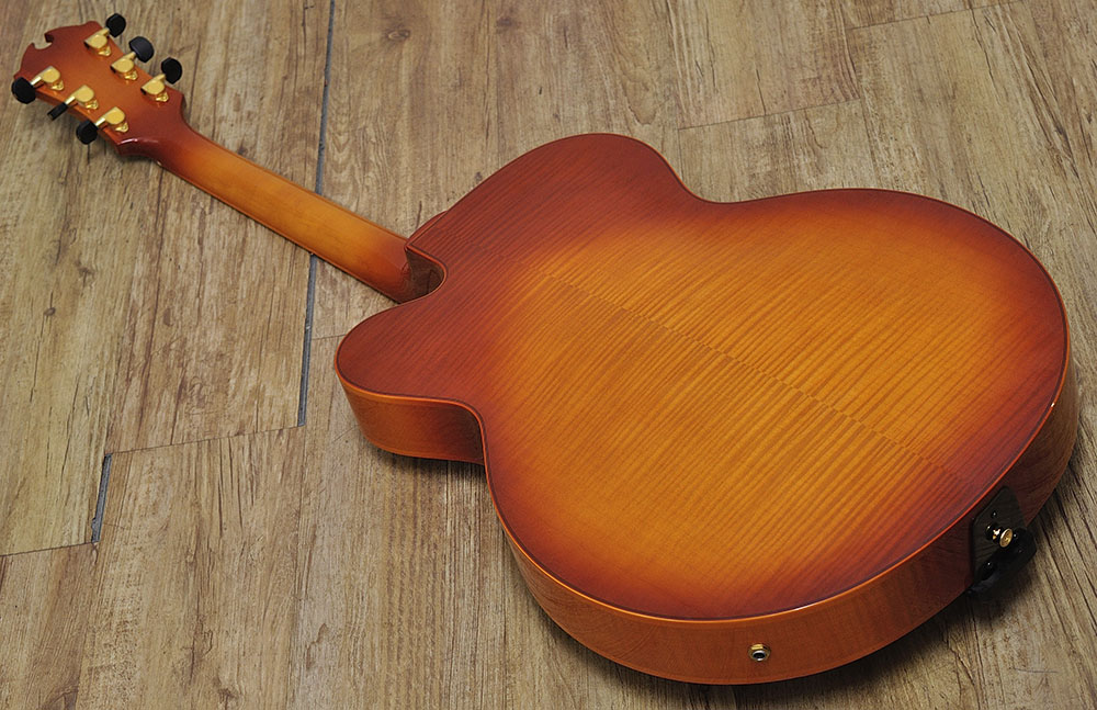 DAquisto DQ-JZ Jazz Line バック全体